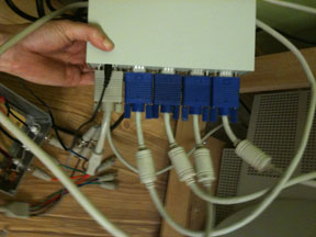 distribution_amp